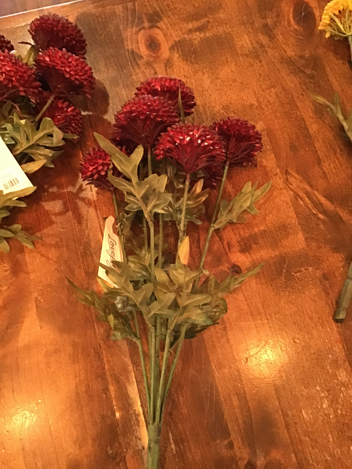 Bundle of 7 Dahlias