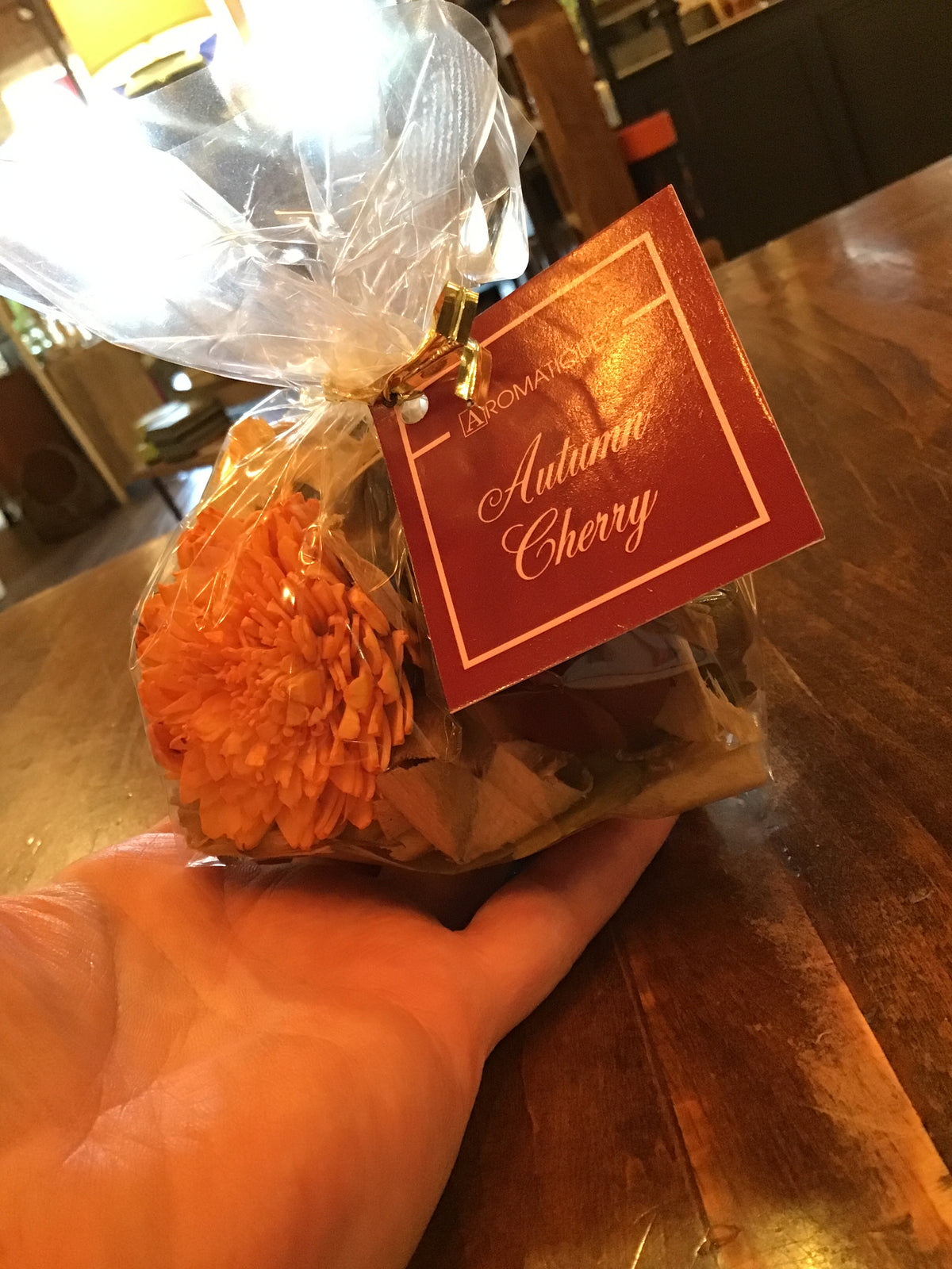 Autumn Cherry Comp Bag-Open House Gifts