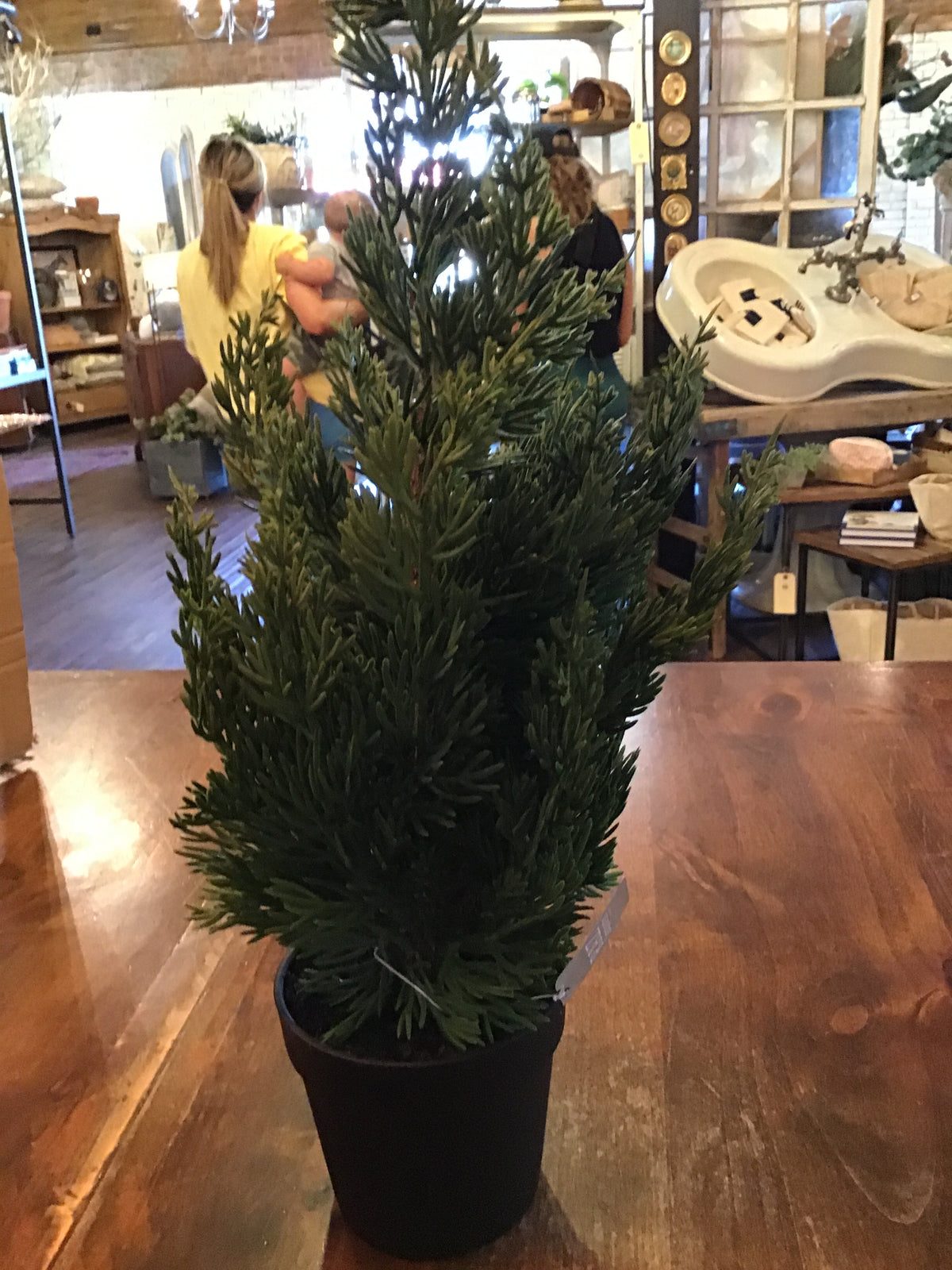 17" Potted Cedar Tree