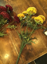 Bundle of 7 Dahlias