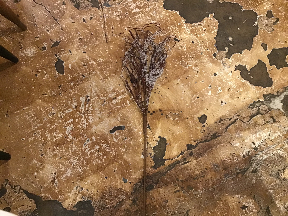 34" Plastic Snowed Winter Branch