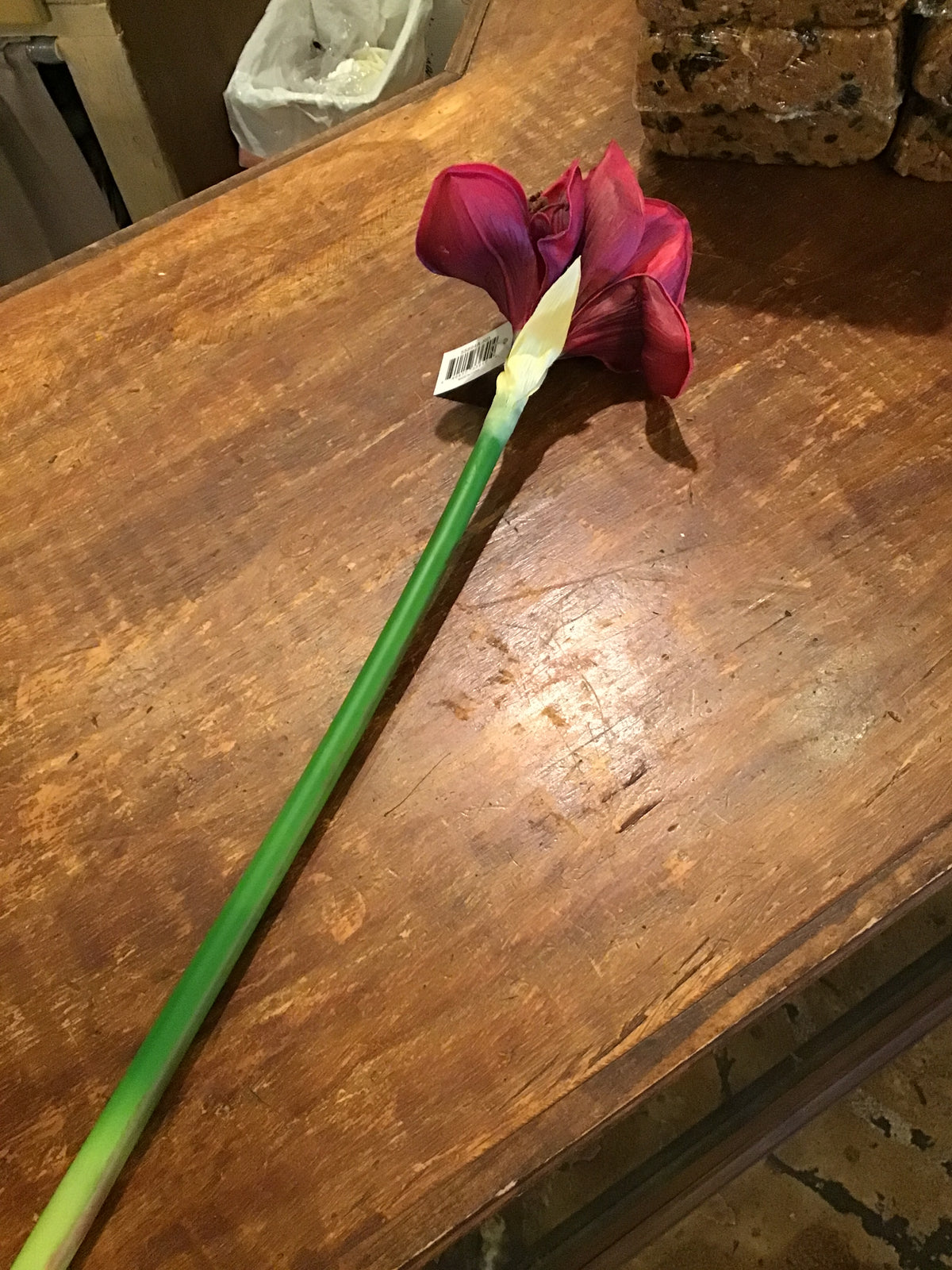 28" Real Touch Burgandy Amaryllis Stem