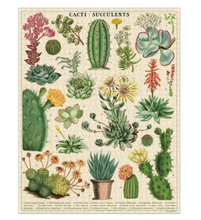 Load image into Gallery viewer, Cacti &amp; Succulents 1,000 Piece Puzzle
